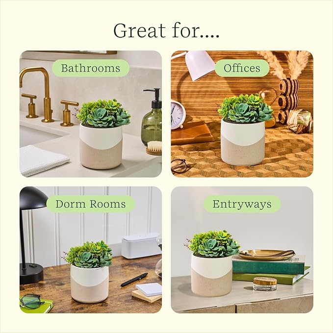 Lifelines Plant Diffuser - Featuring Cascading Mist & Aromas - Modern Planter Aromatherapy Diffuser
