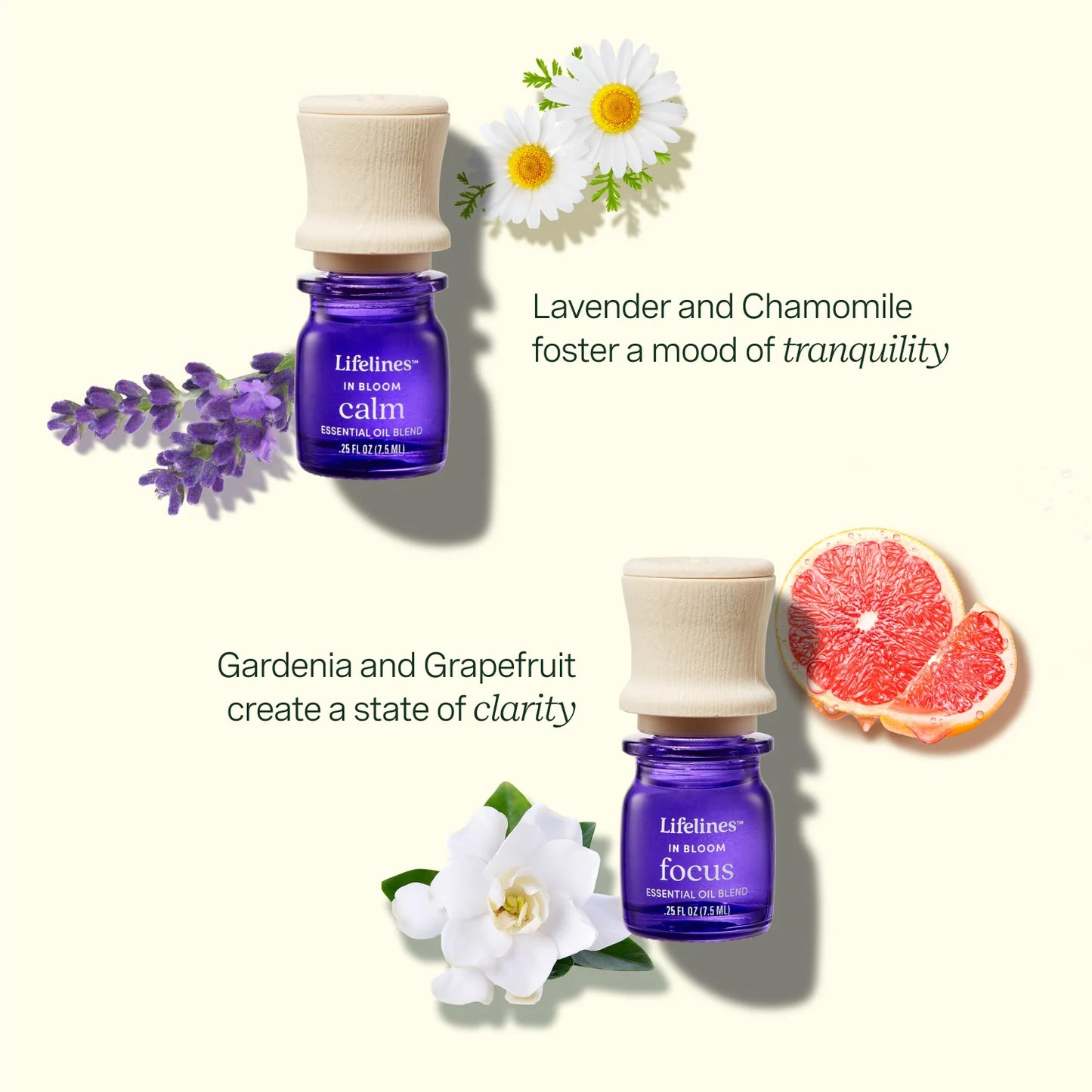 Paquete de 4 mezclas de aceites esenciales Lifelines - In Bloom
