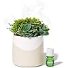 Lifelines Plant Diffuser - Featuring Cascading Mist & Aromas - Modern Planter Aromatherapy Diffuser