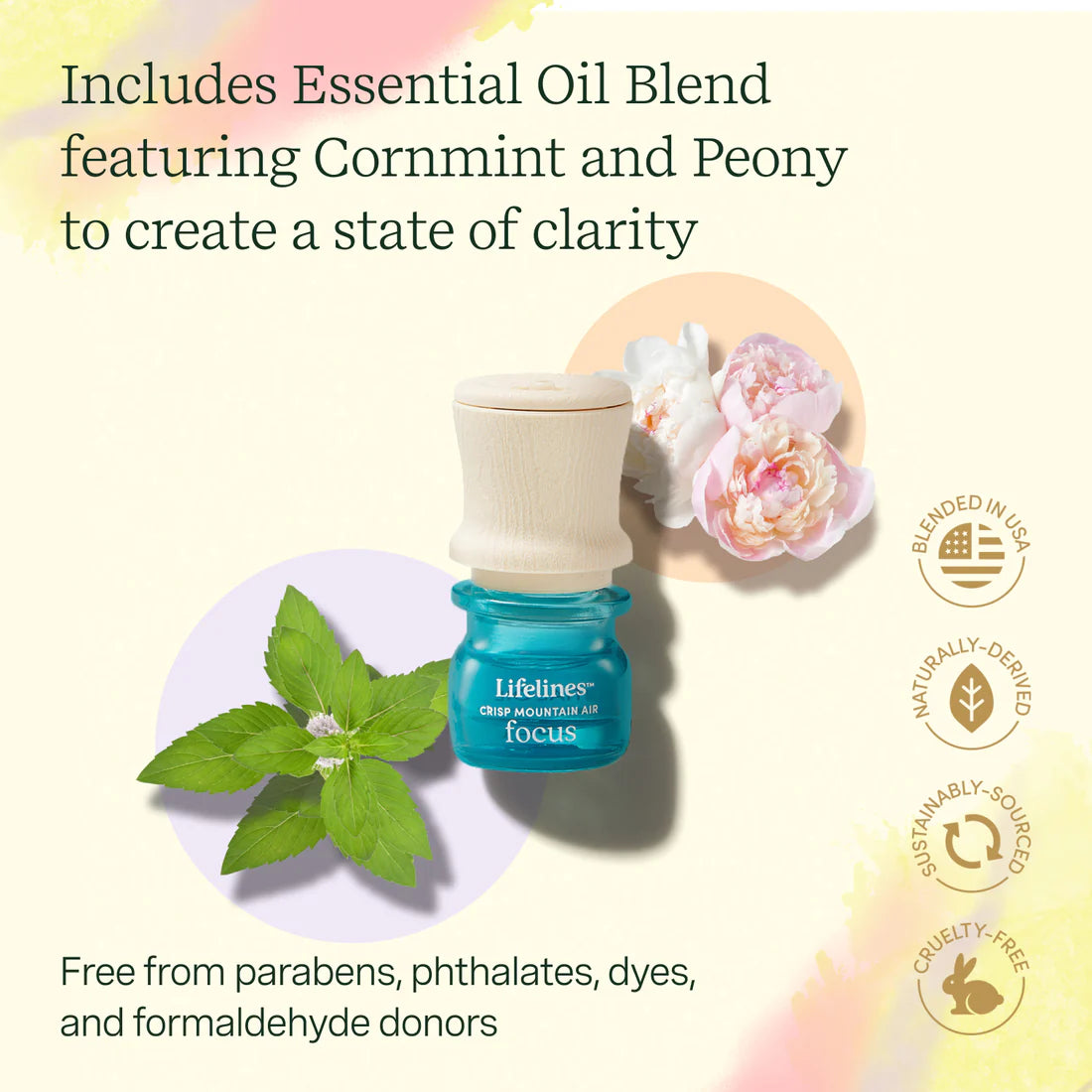 Piedras de conexión a tierra Lifelines: colección de objetos meditativos y mezcla de aceites esenciales