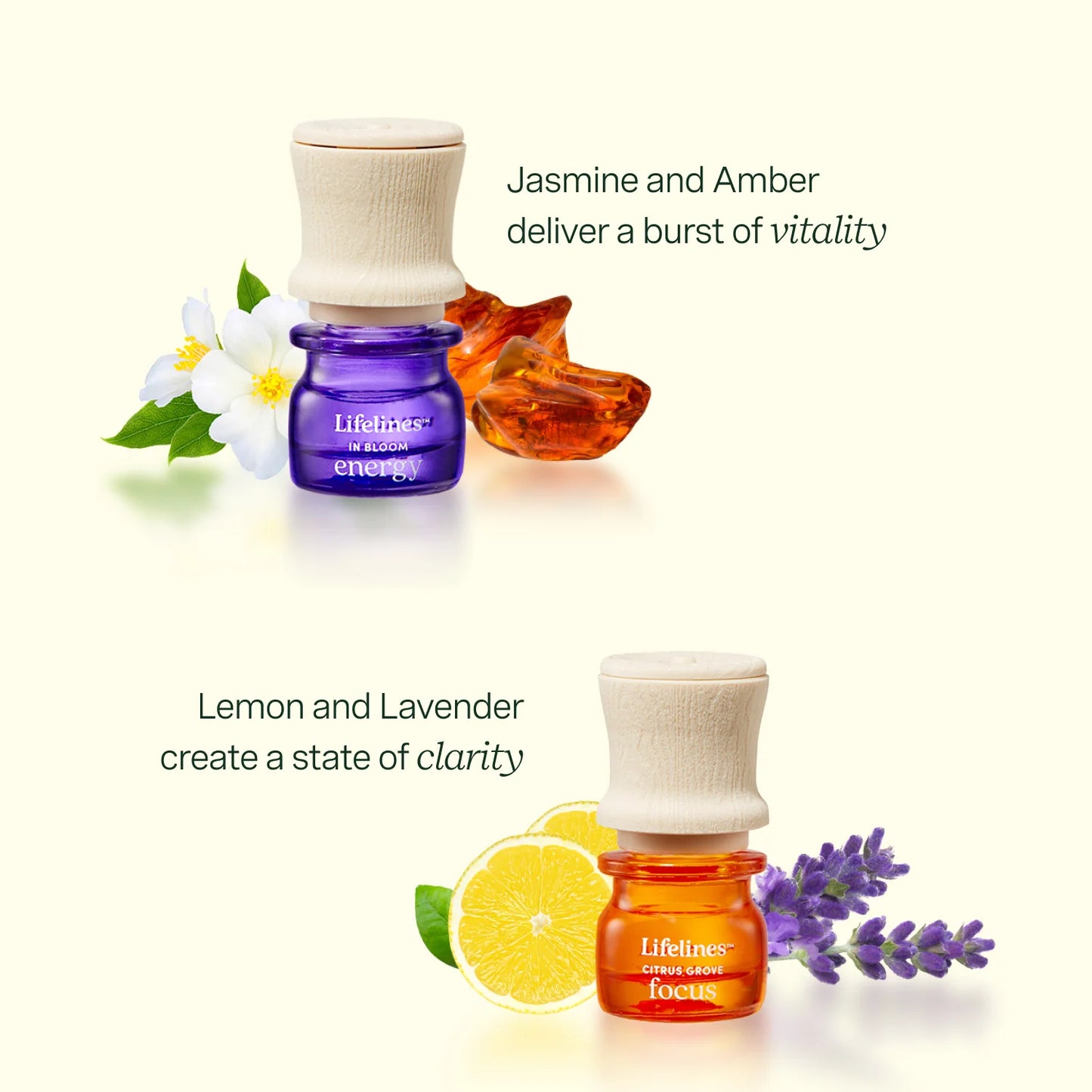 Lifelines Essential Oil Blend Discovery Set - 5 Pack
